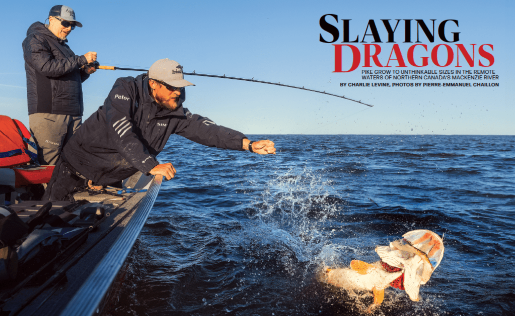 Charlie Levine fishing journalist writes about Northern Pike